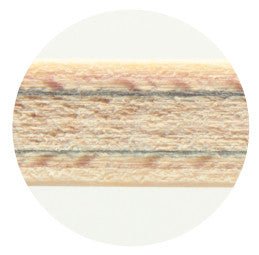 Lemn Paleta Tenis de Masa DONIC Waldner OFF World Champion 89 - Magazin Tenis de Masa