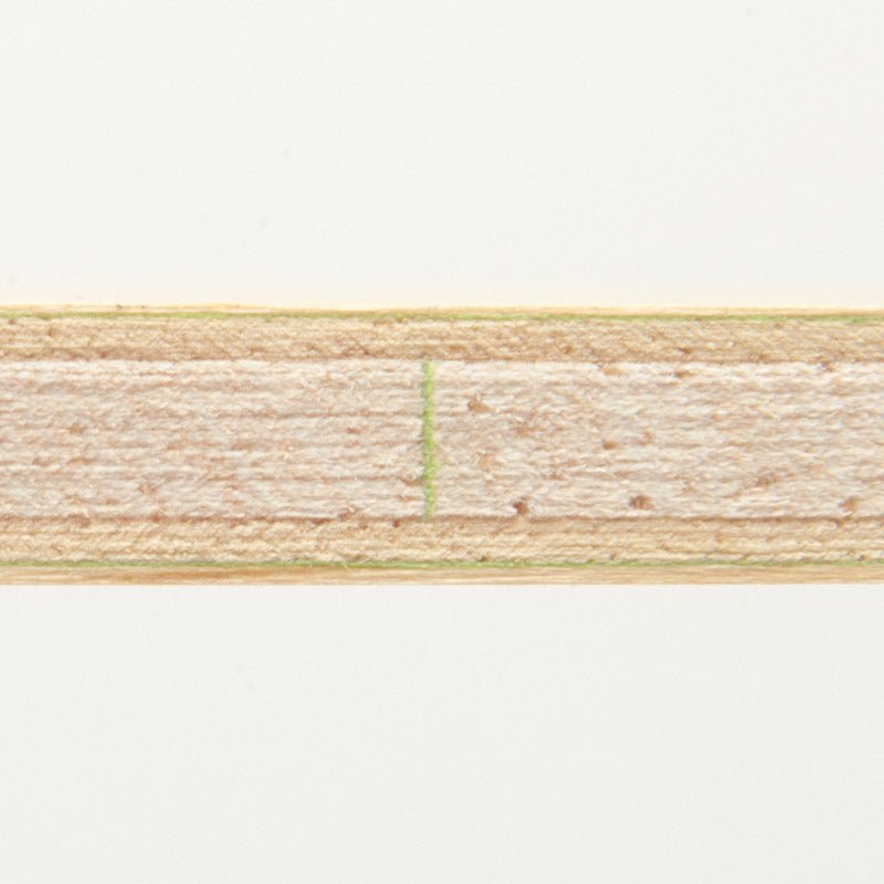 Lemn Paleta Tenis de Masa DONIC Appelgren Dotec Control - Magazin Tenis de Masa