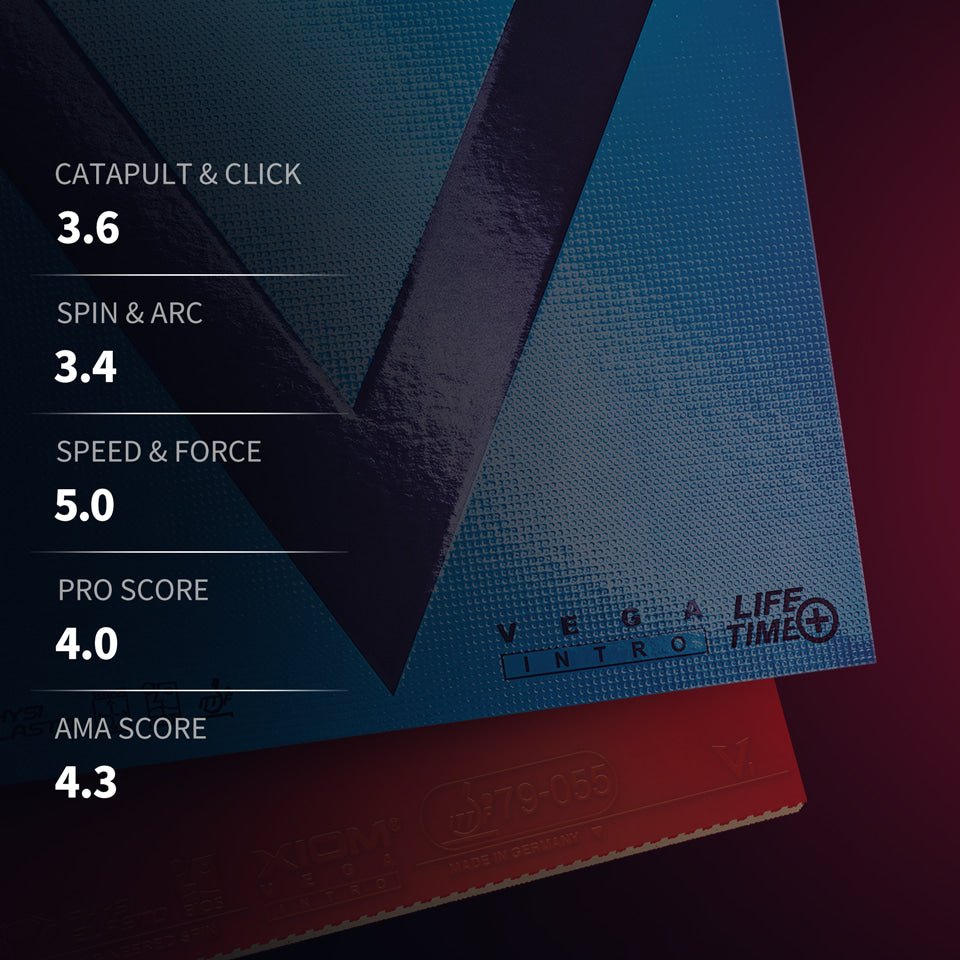 Fata Paleta Tenis de Masa XIOM Vega Intro - Magazin Tenis de Masa