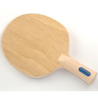 Lemn Paleta Tenis de Masa Dr.Neubauer High Technology Plus