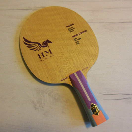 Lemn Paleta Tenis de Masa HM X - Solis