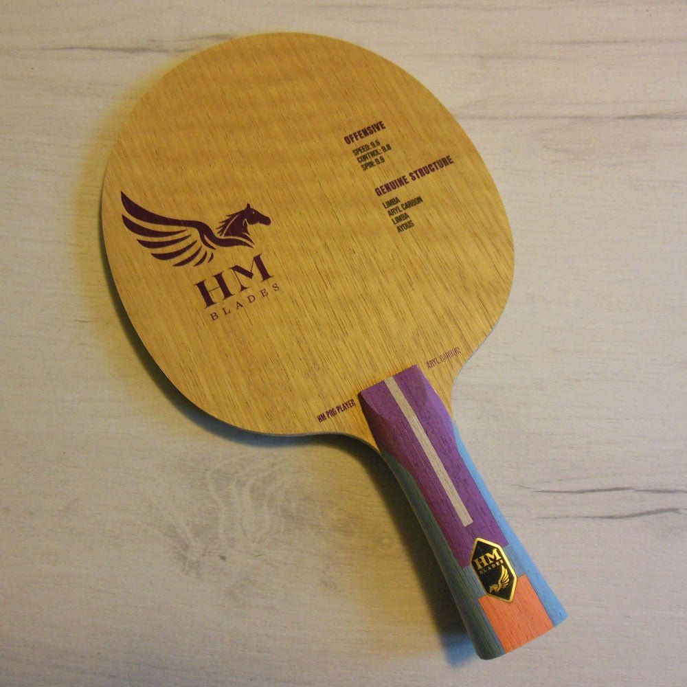 Lemn Paleta Tenis de Masa HM X - Solis - Magazin Tenis de Masa