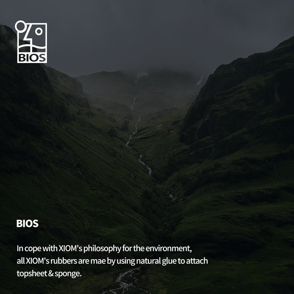 Fata Paleta Tenis de Masa XIOM Musa 1 - Magazin Tenis de Masa